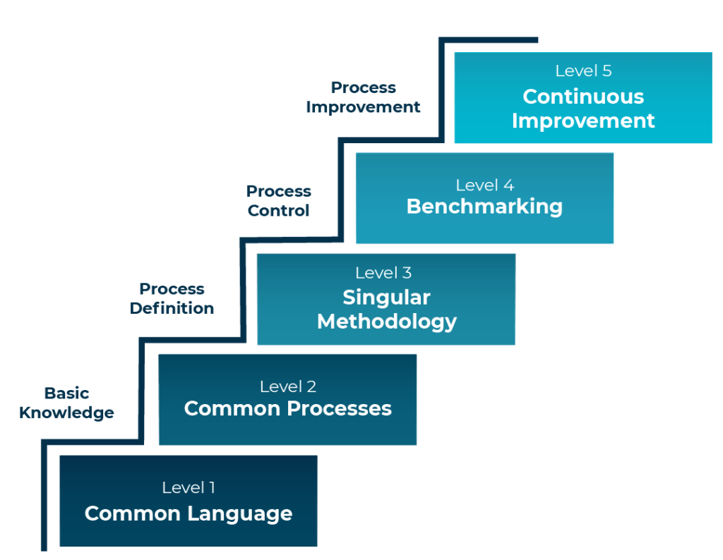 kerzner assessment graphic 2 02 1