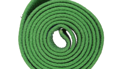 lean six sigma green belt