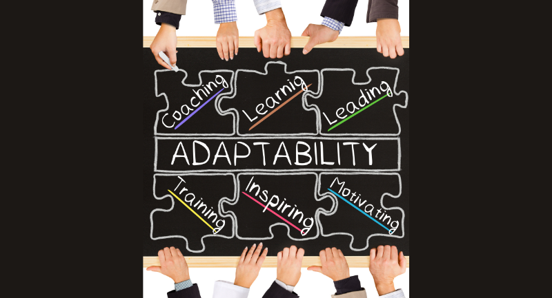Understanding Adaptability and Resilience in PMBOK Guide – Seventh Edition