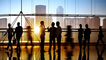 Sailing the Waves of Organizational Change Chaos