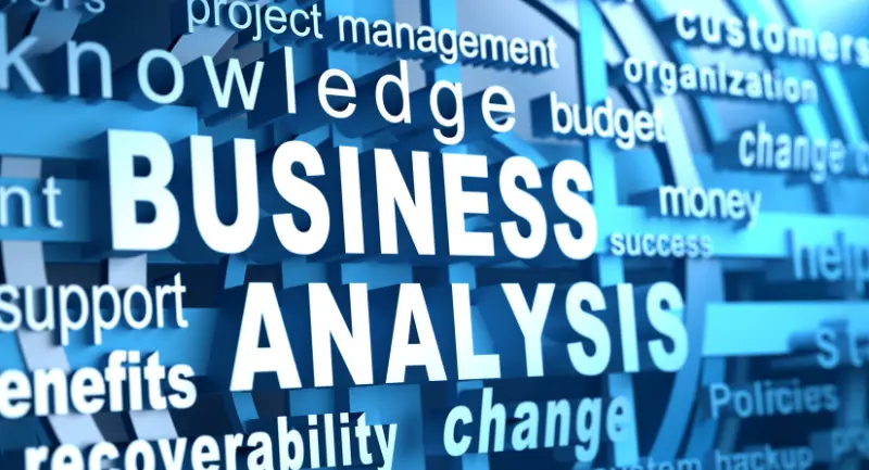 Strategies for a Successful Business Analysis Career
