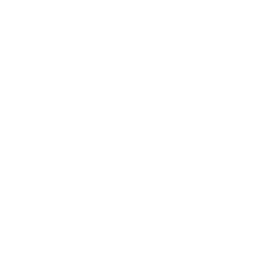 <b>AI Skills Development Across the Enterprise Workforce</b> <br>By Terry Neal 1 IIL Logo 256x256 white