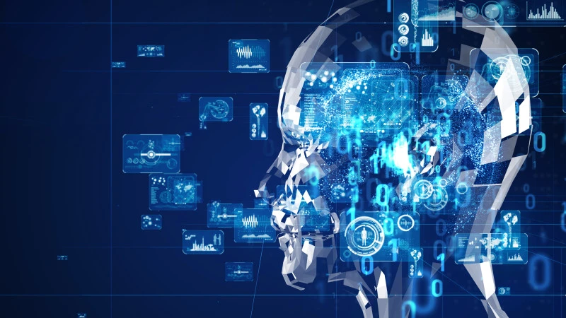 Data Informed Decision Making in Projects