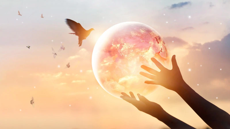 Innovation and Design – Thinking Beyond the Obvious